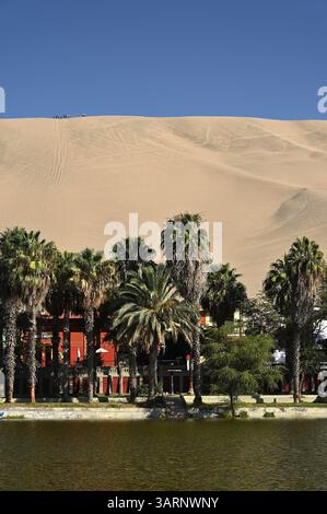 Sanddünen und Palmen in der Oase von Huacachina in der Wüste Ica, Ica, Peru Stockfoto