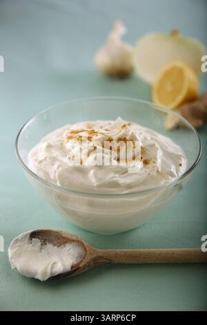 April 2013 – Chicago, IL, USA – wenn Sie griechischen Joghurt zum Kochen verwenden, können Sie ihn praktisch überall dort verwenden, wo Sauerrahm verwendet wird. (Bild: © E. Jason Wambsgans/MCT/ZUMAPRESS.com) Stockfoto