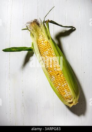 27. Juni 2013 – Chicago, IL, USA – Genießen Sie Ihren Appetit auf Zuckermais, indem Sie Bauernmärkte, Straßenstände und lokale Lebensmittelhändler auf frisch gepflückte Ohren kaufen und sich anschließend einen nach dem anderen durch den Kolben schlängeln. (Kreditbild: © Bill Hogan/MCT/ZUMAPRESS.com) Stockfoto