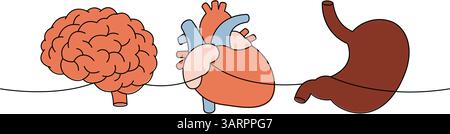 Menschliche Organe eine Linie farbige kontinuierliche Zeichnung. Gehirn, Herz, Magen durchgehende eine-Linien-Illustration. Stock Vektor