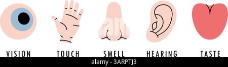 Fünf menschliche Sinne. Sehen, riechen, hören, berühren, schmecken. Auge, Hand, Nase, Ohr, Zunge. Stock Vektor