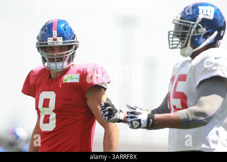 30. Juli 2013: East Rutherford, New Jersey, USA S - New York Giants Quarterback DAVID CARR (8) während des Giants Trainingslagers im Quest Diagnostics Training Center in East Rutherford, NJ (Bild: © Vinny Carchietta/ZUMAPRESS.com) Stockfoto