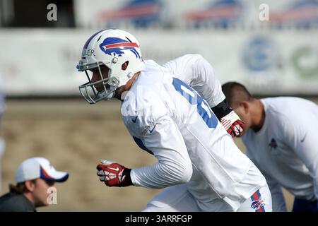 30. Juli 2013: Rochester, New York, USA S - Buffalo Bills hat SCOTT CHANDLER (84) während eines morgendlichen Trainingslagers am St. John Fisher College in Rochester, NY, abgeschnitten. (Bild: © Michael Johnson/ZUMAPRESS.com) Stockfoto