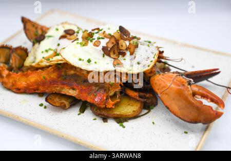 Hummer mit Kartoffeln und Spiegelei auf einem weißen Teller. Stockfoto