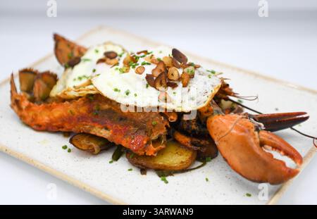 Hummer mit Kartoffeln und Spiegelei auf einem weißen Teller. Stockfoto