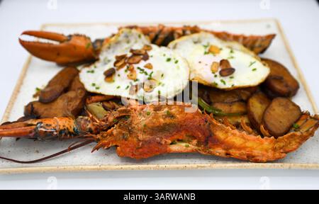 Hummer mit Kartoffeln und Spiegelei auf einem weißen Teller. Stockfoto