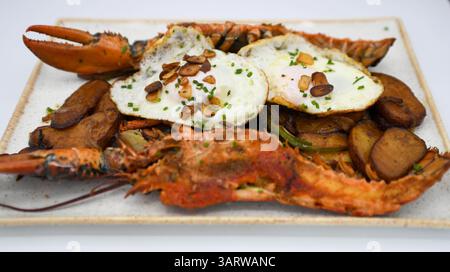 Hummer mit Kartoffeln und Spiegelei auf einem weißen Teller. Stockfoto