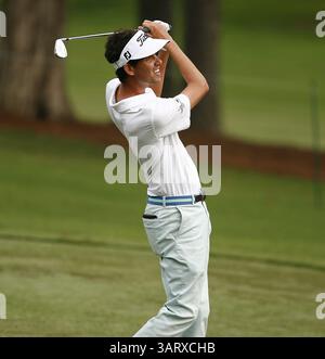 August 2013 - Greensboro, North Carolina, USA S - CHESSON HADLEY beobachtet seinen Ball während der zweiten Runde der Wyndham Championship 2013 im Sedgefield Country Club. (Kreditbild: © Wes Hight/ZUMAPRESS.com) Stockfoto