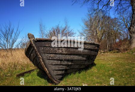 Landschaft am Neuensiensee auf der Insel Rügen, Mecklenburg-Vorpommern, Deutschland, Europa Stockfoto