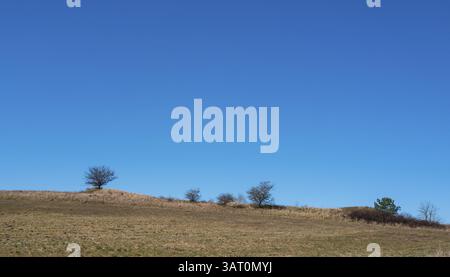 Landschaft am Neuensiensee auf der Insel Rügen, Mecklenburg-Vorpommern, Deutschland, Europa Stockfoto