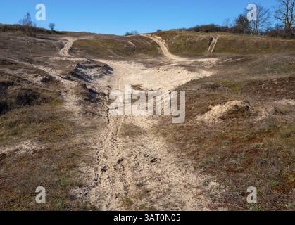 Landschaft am Neuensiensee auf der Insel Rügen, Mecklenburg-Vorpommern, Deutschland, Europa Stockfoto
