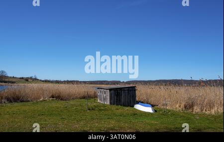 Landschaft am Neuensiensee auf der Insel Rügen, Mecklenburg-Vorpommern, Deutschland, Europa Stockfoto