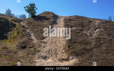 Landschaft am Neuensiensee auf der Insel Rügen, Mecklenburg-Vorpommern, Deutschland, Europa Stockfoto