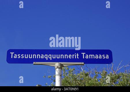Blaues Straßenschild vor klarem Himmel und grünem Baum, der längste Straßenname in Grönland, Qaqortoq, Kujalleq, Grönland, Dänemark, Nordamerika Stockfoto