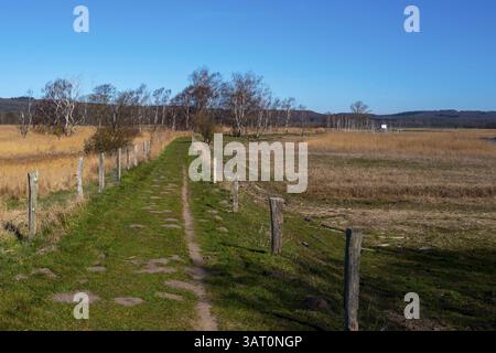 Landschaft am Neuensiensee auf der Insel Rügen, Mecklenburg-Vorpommern, Deutschland, Europa Stockfoto