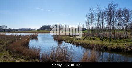 Landschaft am Neuensiensee auf der Insel Rügen, Mecklenburg-Vorpommern, Deutschland, Europa Stockfoto