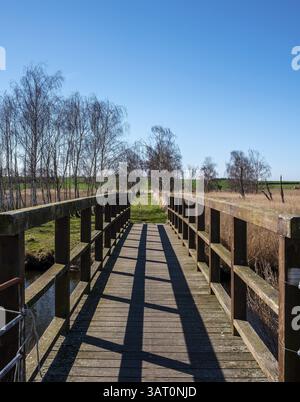Landschaft am Neuensiensee auf der Insel Rügen, Mecklenburg-Vorpommern, Deutschland, Europa Stockfoto