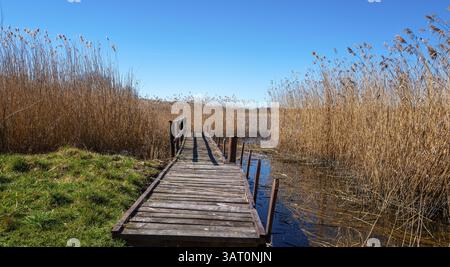 Landschaft am Neuensiensee auf der Insel Rügen, Mecklenburg-Vorpommern, Deutschland, Europa Stockfoto