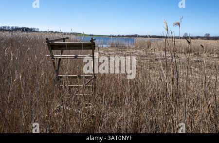 Landschaft am Neuensiensee auf der Insel Rügen, Mecklenburg-Vorpommern, Deutschland, Europa Stockfoto