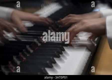 Bewegliche Hände eines jungen Pianisten, der auf der Tastatur eines Steinway & Sons-Flügels spielt, Stuttgart, Baden-Württemberg Stockfoto