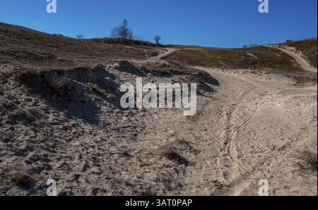 Landschaft am Neuensiensee auf der Insel Rügen, Mecklenburg-Vorpommern, Deutschland, Europa Stockfoto