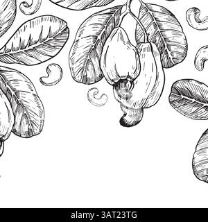 Cashewzweig mit Früchten und Samen. Handgezeichnete Vektor-Illustrationen. Vorlage für Etikettendesign von vegetarischen Produkten, Desserts und Nüssen Stock Vektor