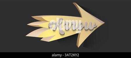 Stilisierte 3D-Pfeilgrafik mit Text Stock Vektor