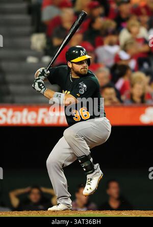 Juli 2013 Anaheim, CA. Oakland Athletics Catcher Derek Norris #36 beim Schläger während des Major League Baseball Spiels zwischen den Oakland Athletics und den Los Angeles Angels im Anaheim Stadium in Anaheim, Kalifornien..die Los Angeles Angels besiegen die Oakland Athletics 2:0.Louis Lopez/CSM (Credit Image: © Louis Lopez/Cal Sport Media/ZUMAPRESS.com) Stockfoto