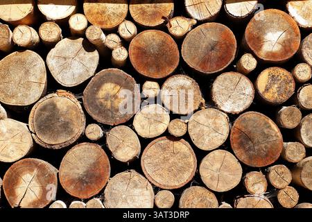 Polter Stockfoto