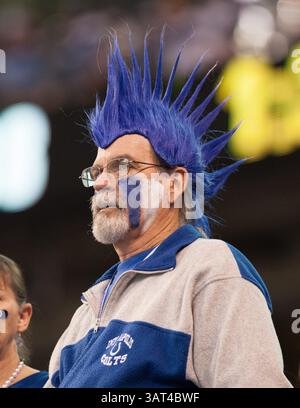 10. November 2013: Indianapolis, IN, Vereinigte Staaten von Amerika - 10. November 2013: Ein Indianapolis Colts Fan zeigt Unterstützung in den Tribünen während des NFL-Spiels zwischen den St. Louis Rams und den Indianapolis Colts im Lucas Oil Stadium in Indianapolis. Die St. Louis Rams besiegten die Indianapolis Colts 38-8. (Bild: © Aaron Doster/Cal Sport Media/Cal Sport Media/ZUMAPRESS.com) Stockfoto