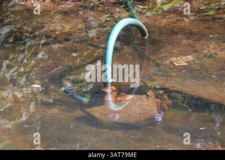 Tauchwasserpumpe auf einem kleinen Teich mit klarem Wasser. Rustikale Wasserpumpe in Wasser Stockfoto