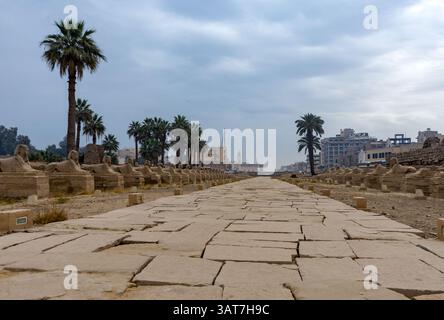 Ein historischer Pfad gesäumt von alten Sphinx-Statuen, der zu einer entfernten Skyline der Stadt unter einem bewölkten Himmel führt. Palmen umrahmen die Szene und fügen ein t hinzu Stockfoto