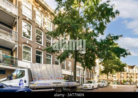 Eine lebendige urbane Straßenszene mit einem prächtigen Gebäude, üppigen Bäumen und geparkten Fahrzeugen, die die Harmonie von Natur und Stadtleben darstellen. Stockfoto