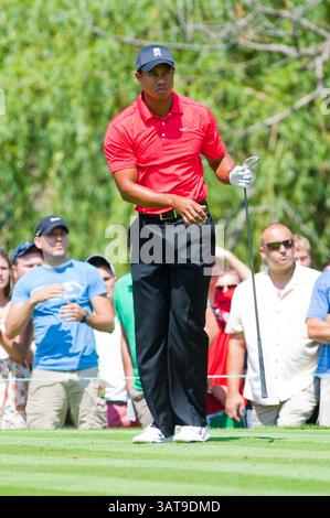 Juni 2012: Tiger Woods sieht sich einen Abschlag während der letzten Runde des Memorial Turniers im Muirfield Village Golf Club in Dublin, Ohio an (Bild: © Scott Terna/Cal Sport Media/ZUMAPRESS.com) Stockfoto