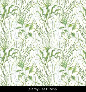 Aquarellunterwasser grünes Unkraut nahtloses Muster isolierter Hintergrund. Wasser schwimmende Pflanzen, Gras Illustration. Algen-, Algen- oder Aquarienklettern Stockfoto