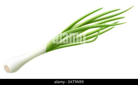 Ein Haufen frischer grüner Zwiebeln, isoliert auf weißem Hintergrund. Frühlingslauchblättrige, grünes Gemüse, Zwiebelgeschmack. Realistische 3D-Vektordarstellung Stock Vektor