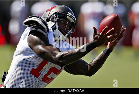 10. August 2013 - Tampa, FL, USA - Tampa Bay Buccaneers und der ehemalige Wide Receiver der University of South Florida Carlton Mitchell (12) erhalten einen Pass während des Buccaneers Trainingslagers am One Buc Place in Tampa, Florida, Samstag, 10. August 2013. (Bild: © Daniel Wallace/MCT/ZUMAPRESS.com) Stockfoto