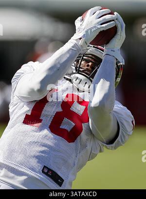 10. August 2013 - Tampa, FL, USA - Tampa Bay Buccaneers Wide Receiver Derek Hagan (18) sichert sich einen Pass während des Buccaneers Trainingslagers am One Buc Place in Tampa, Florida, Samstag, 10. August 2013. (Bild: © Daniel Wallace/MCT/ZUMAPRESS.com) Stockfoto