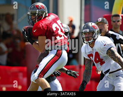 10. August 2013 - Tampa, FL, USA - Tampa Bay Buccaneers Sicherheit Cody Grimm (35) fängt einen Endzonenpass ab, als Tight End Tom Crabtree (84) während des Buccaneers Trainingscamps am One Buc Place in Tampa, Florida, am Samstag, 10. August 2013 beobachtet. (Bild: © Daniel Wallace/MCT/ZUMAPRESS.com) Stockfoto