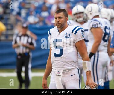 11. August 2013: Indianapolis, IN, Vereinigte Staaten von Amerika - 11. August 2013: Indianapolis Colts Quarterback Chandler Harnish (5) während des Spiels zwischen den Buffalo Bills und den Indianapolis Colts im Lucas Oil Stadium in Indianapolis. Die Buffalo Bills besiegten die Indianapolis Colts 44-20. (Bild: © Aaron Doster/Cal Sport Media/Cal Sport Media/ZUMAPRESS.com) Stockfoto