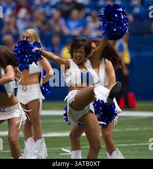 11. August 2013: Indianapolis, IN, Vereinigte Staaten von Amerika - 11. August 2013: Indianapolis Colts Cheerleader während des Spiels zwischen den Buffalo Bills und den Indianapolis Colts im Lucas Oil Stadium in Indianapolis. Die Buffalo Bills besiegten die Indianapolis Colts 44-20. (Bild: © Aaron Doster/Cal Sport Media/Cal Sport Media/ZUMAPRESS.com) Stockfoto