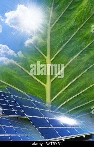 Regeneratives erneuerbares, erneuerbares, erneuerbares, solares Kraftwerk mit Strom aus Photovoltaik und Solarpaneelen. Stockfoto