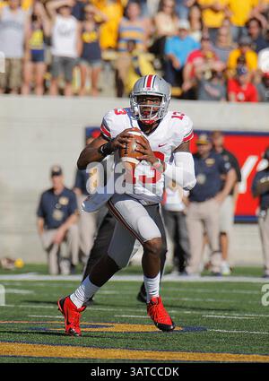 September 2013 - Berkeley, CA, USA - 14. September 2013 - Berkeley CA, USA - Ohio State QB # 13 Kenny Guiton wird während des NCAA Football Spiels zwischen Ohio State Buckeyes und California Golden Bears im Memorial Stadium Berkeley Calif (Kreditbild: © Thurman James/Cal Sport Media/ZUMAPRESS.com) Stockfoto