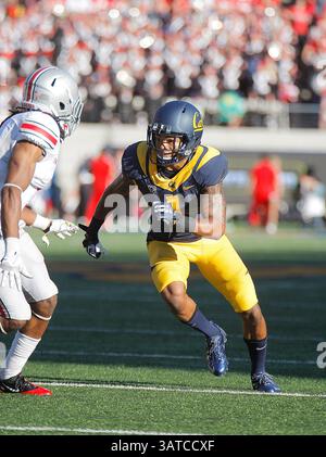 September 2013 - Berkeley, CA, USA - 14. September 2013 - Berkeley CA, USA - California Bears WR # 1 Bryce Treggs während des NCAA Football Spiels zwischen Ohio State Buckeyes und California Golden Bears 52-34 verloren im Memorial Stadium Berkeley Calif(Kreditbild: © Thurman James/Cal Sport Media/ZUMAPRESS.com) Stockfoto