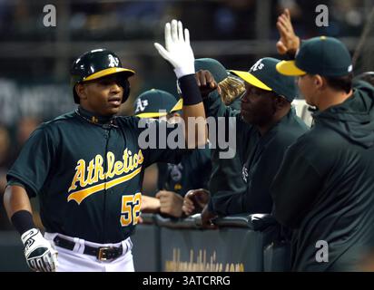20. September 2013 - Oakland, CA, USA - Yoenis Cespedes (52) feiert seinen Solo-Heimlauf gegen die Minnesota Twins im zweiten Inning im O.Co Coliseum in Oakland, Kalifornien, am Freitag, den 20. September 2013. (Kreditbild: © Ray Chavez/MCT/ZUMAPRESS.com) Stockfoto