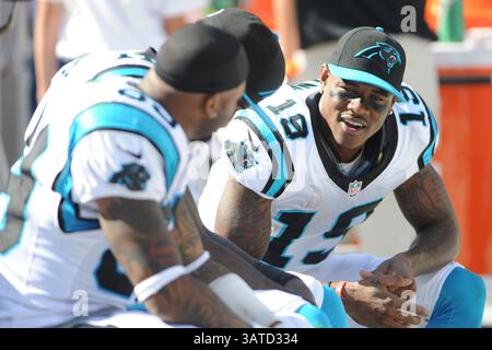 22. September 2013 – Charlotte, NC, USA – 22. September 2013: Carolina Panthers Wide Receiver Ted Ginn #19, Carolina Panthers Wide Receiver Steve Smith #89 und Carolina Panthers Wide Receiver Brandon LaFell #11 während des NFL-Fußballspiels zwischen den New York Giants und den Carolina Panthers im Bank of America Stadium, Charlotte, NC. (Bild: © Evan Pike/Cal Sport Media/ZUMAPRESS.com) Stockfoto