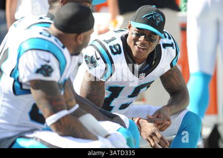 22. September 2013 – Charlotte, NC, USA – 22. September 2013: Carolina Panthers Wide Receiver Ted Ginn #19, Carolina Panthers Wide Receiver Steve Smith #89 und Carolina Panthers Wide Receiver Brandon LaFell #11 während des NFL-Fußballspiels zwischen den New York Giants und den Carolina Panthers im Bank of America Stadium, Charlotte, NC. (Bild: © Evan Pike/Cal Sport Media/ZUMAPRESS.com) Stockfoto