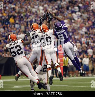 22. September 2013 – Minneapolis, Minnesota, USA – mit nur noch zehn Sekunden auf der Uhr kommt der Minnesota Vikings Wide Receiver JEROME SIMPSON (81) mit leeren Händen, während er dreimal von den Cleveland Browns abgedeckt wird. Die Cleveland Browns besiegten die Minnesota Vikings am Sonntag mit 31:27, in Minneapolis, Minnesota. (Bild: © Jeff Wheeler/MCT/ZUMAPRESS.com) Stockfoto