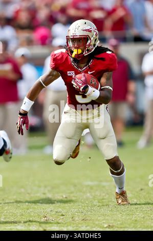 5. Oktober 2013: Der breite Empfänger Jesus Wilson (3) der Florida State Seminoles läuft während des Spiels zwischen den Maryland Terrapins und den Florida State Seminoles im Doak S. Campbell Stadium. Florida State besiegte Maryland 63-0.(Bild: © Gray Quetti/Cal Sport Media/ZUMAPRESS.com) Stockfoto