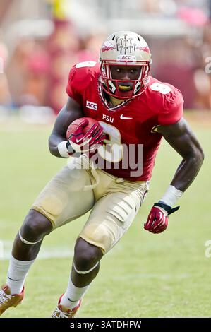 5. Oktober 2013: Florida State Seminoles Running Back Karlos Williams (9) läuft während des Spiels zwischen den Maryland Terrapins und den Florida State Seminoles im Doak S. Campbell Stadium. Florida State besiegte Maryland 63-0.(Bild: © Gray Quetti/Cal Sport Media/ZUMAPRESS.com) Stockfoto
